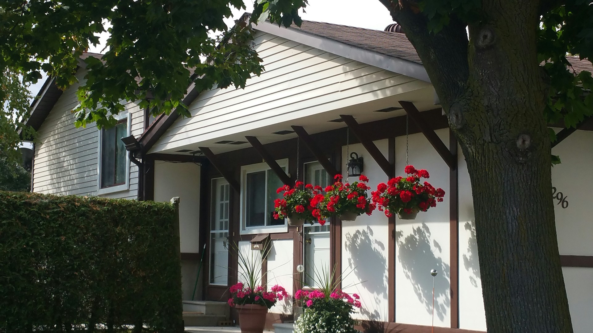 chalet bouwen