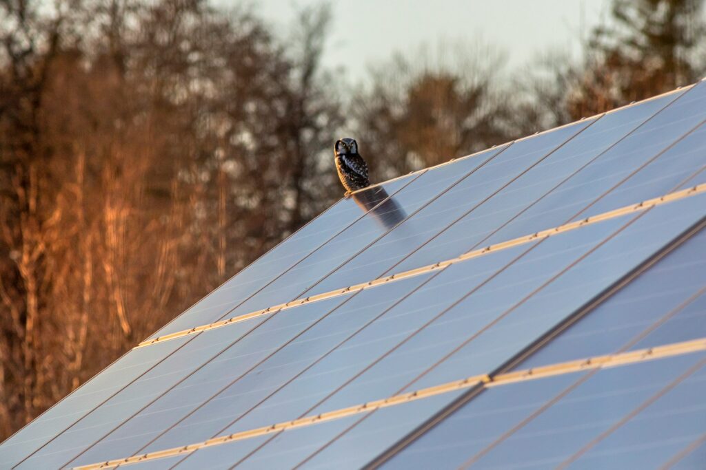 PureSolar